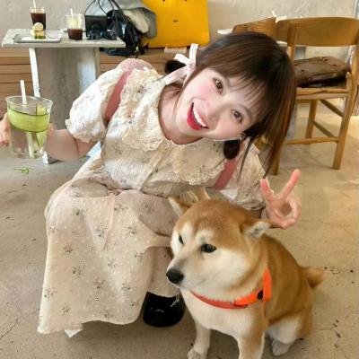 新里见八犬传